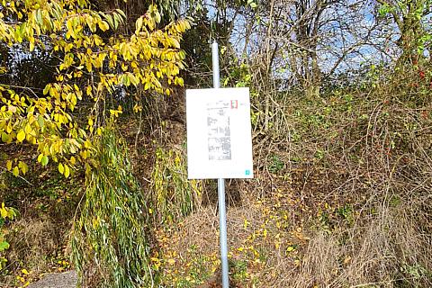 Infotafeln zur Geschichte von Ringenhain Pestteich
